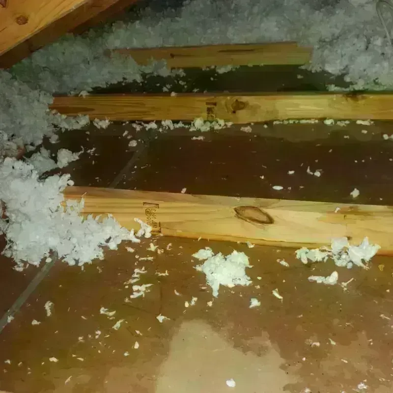 Attic Water Damage in Hollis, OK