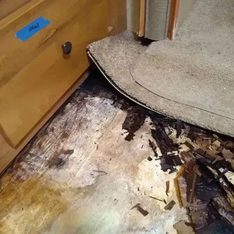 Wood Floor Water Damage in Hollis, OK